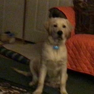 Meet your Posher, Kim